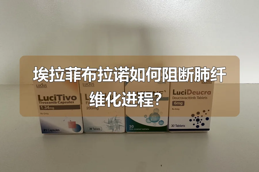 埃拉菲布拉诺如何阻断肺纤维化进程？